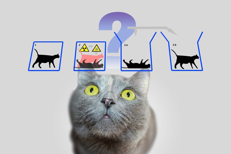 Quantum Entanglement Communicator